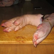 Свиные ножки фото