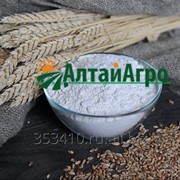 Мука пшеничная цельно зерновая фото