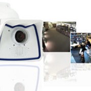 Сетевые камеры Mobotix MX-M24-DualDome фото