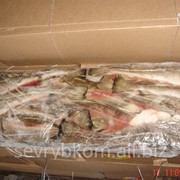 Треска 3+ ПБГ морская заморозка Мурманск от 20 тонн
