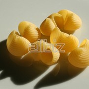 Макаронные изделия: Рожки фото