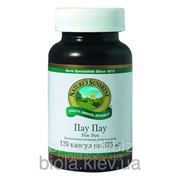 Paw Paw (Пау Пау) фото