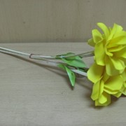 Букет из сухоцвета 5 Цветков /оранжевый/, арт. 55867/3** фото