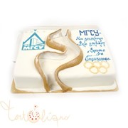 Корпоративный торт для МГСУ №245 фотография