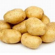 Продаем картофель оптом фото