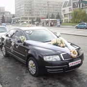 Свадебные автомобили Житомир фото