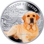 Лабрадор ретривер - Серебряная монета в футляре фотография