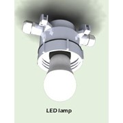 Светильник светодиодный LED-W-7W для выращивания кур-несушек фотография