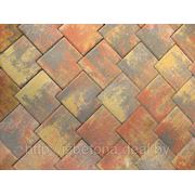 Тротуарная плитка “COLOR MIX“ «Осенние листья» фото