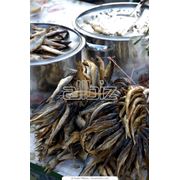 Рыбные продукты в ассортименте фото