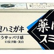Зубная паста отбеливающая и полирующая с углем и мятными травами100гр Kobayashi фото
