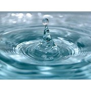 ЭМУЛЬФАРМА PG20 (Emulpharma PG20): POLYGLYCERYL-2 DIISOSTEARATE фото