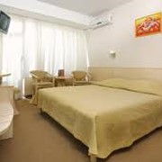 Стандартные номера фото