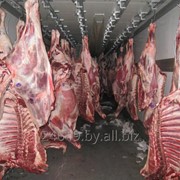 Мясо говядины в п/тушах, охлажденное фото