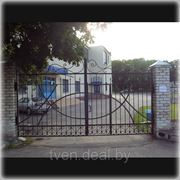 Ворота В-001 фото
