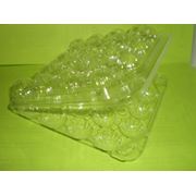 Пластиковых упаковок для перепелиных яиц фото