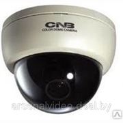 Камера видеонаблюдения CNB-D2410PVD фото