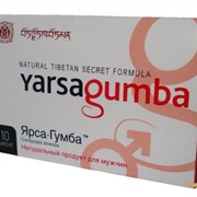 ЯрсаГумба капсулы для потенции,для лечения простатита Yarsagumba фото