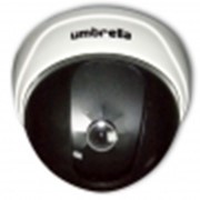 Видеокамеры модульные UMBRELLA D-103 фото