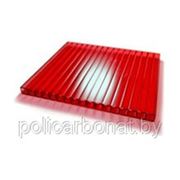 Сотовый поликарбонат “Novoglass“, толщина 6мм, плотность 1,2 кг/м2, красный. фото
