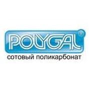 Сотовый поликарбонат POLYGAL (Полигаль) фото
