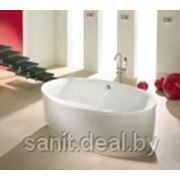 Ванна акриловая Sanplast Altus WOW-Ix-kpl-ALT/Ex, овальная, 190x100 (стеллаж, сифон, релинг, подголовник, экран) фотография
