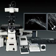 Мультифотонный микроскоп A1 MP+/A1R MP+ производства Nikon (Япония) фото