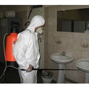Дезинфекция помещений и дезинфекция квартир фото