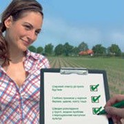 Гербицид Серто Плюс фото