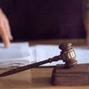 Представительство интересов в судах фото