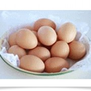 Яйцо столовое С-0 (Белое)
