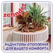 Радиаторы Zehnder фото