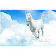 Фреска «White horse 02» фото