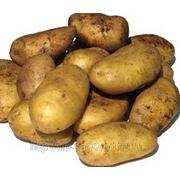Агромикс - картофель 1 кг фото