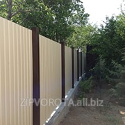 Забор из профнастила с металличесскими столбами RAL 1014 фото