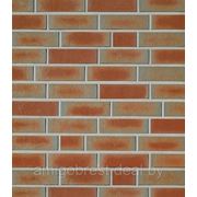 SPESSART Bunt пестрый фото