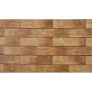 Фасадный клинкер Дакота рустик (245,65,6.5) фото