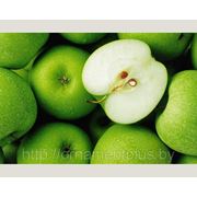 Фотообои на флизелине “Яблочки“ фотография