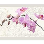 Фотообои на флизелине “Розовая орхидея“ фото