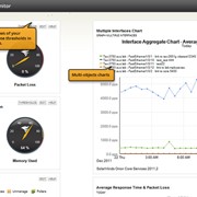 SolarWinds Network Performance Monitor SL100 - license with 1st-year maintenance (up to 100 elements) (SolarWinds.Net, Inc.) фото