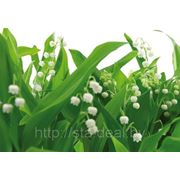 Komar Lilies of the Valley фото
