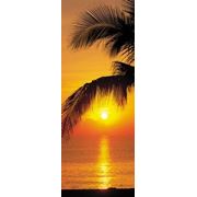 Komar Palmy Beach Sunrise фотография