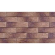 Фасадный клинкер Осенний лист cer 3 bis (300,74,9) фото