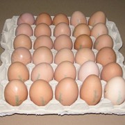 Яйца куриные С0