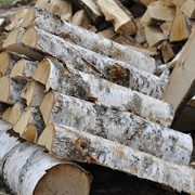 Березовые дрова цена Киев фотография