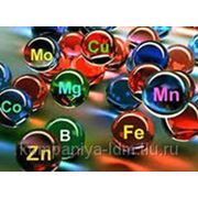 Микроэлементы: железо Fe,медь Cu,цинк Zn,марганец Mn,бор B