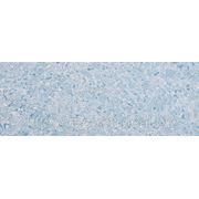 Жидкие обои — СилкЛайн Юг Г-943 фото