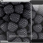 Чехол на iPad 2/3/4 Черная ежевика 2873c-25 фотография