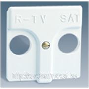 Накладка розетки R-TV, RTV-SAT (белый, сл. кость) фото