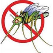 Уничтожение комаров (дезинсекция) фотография